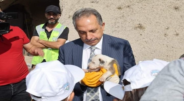 Hayvanları Koruma Gününde ‘hayvan mezarlığı müjdesi