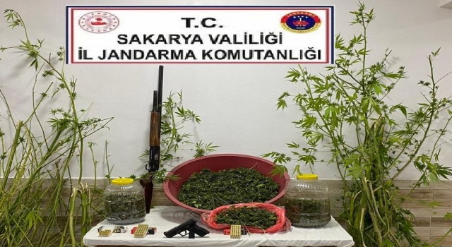 Hazırladığı uyuşturucuları satacaktı, jandarma yakaladı