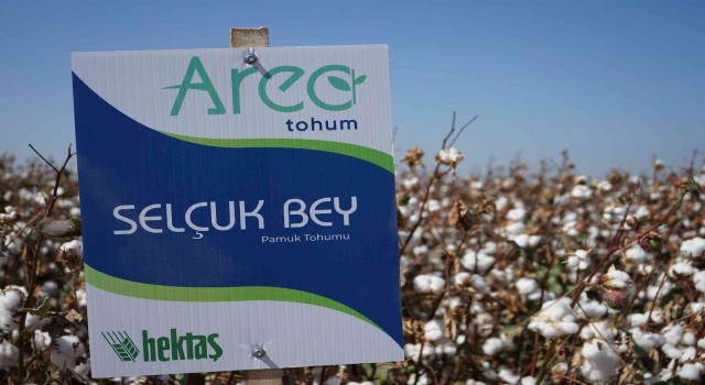 Hektaş, Dünya Pamuk Gününde iki milli tohumunu duyurdu