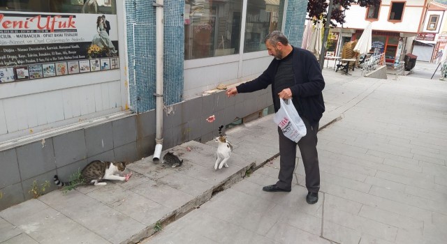 Her sabah iş yerini açmadan sokak kedilerini besliyor