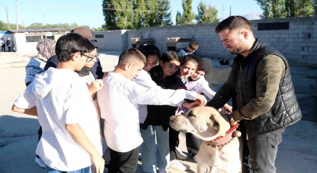 İkinci el otomobil fiyatına kangal
