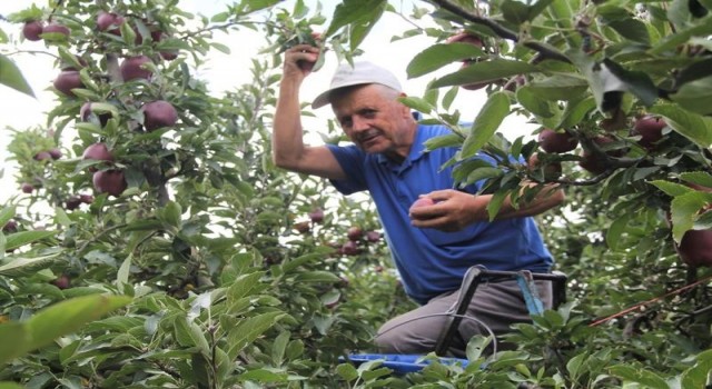 Ispartada elma üretiminin ekonomiye katkısı 2,5 milyar TL oldu