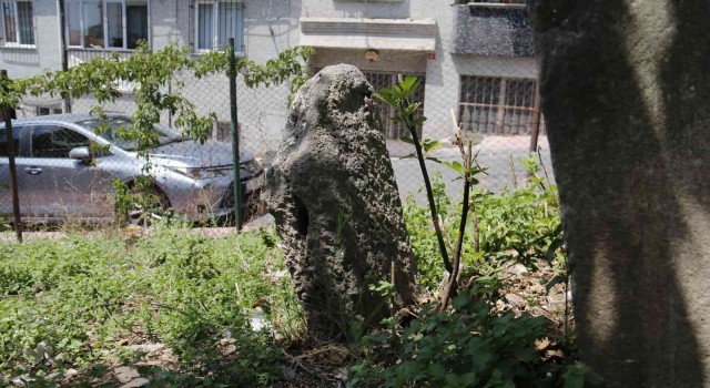 İstanbulun bilinmeyen toplu cellat mezarlığı
