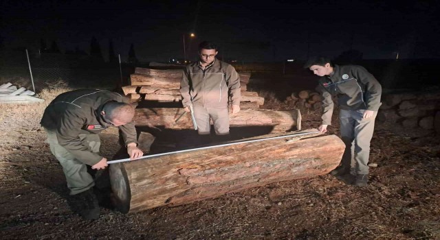 İzmirde ormanda ağaç kesen 3 kişi suçüstü yakalandı