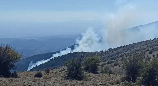 İzmirde ormanlık alandaki yangın kontrol altında