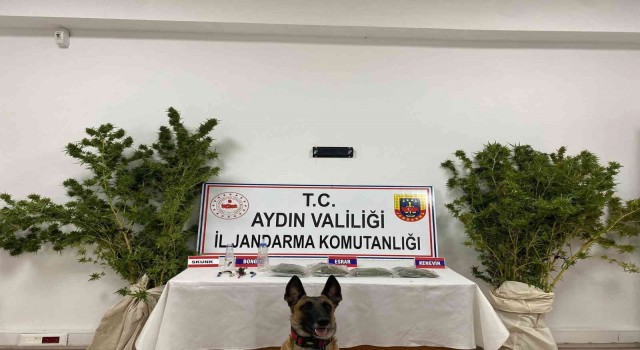 Jandarma ekiplerinden uyuşturucu operasyonu: 1 tutuklama
