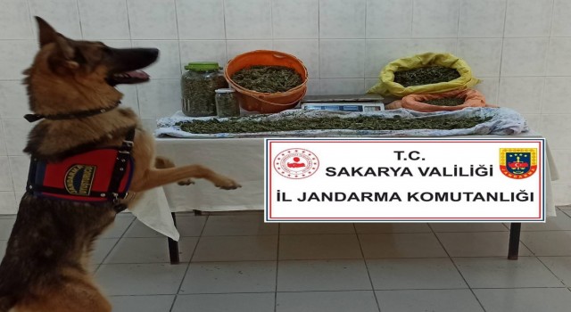 Jandarmadan iki ilçede uyuşturucu operasyonu: 4 gözaltı