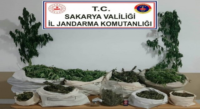 Jandarmadan uyuşturucu operasyonu: 3 gözaltı