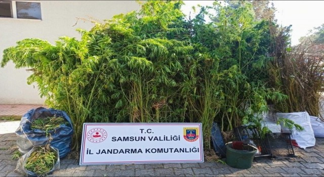 Jandarmadan uyuşturucu ve kaçakçılık operasyonları