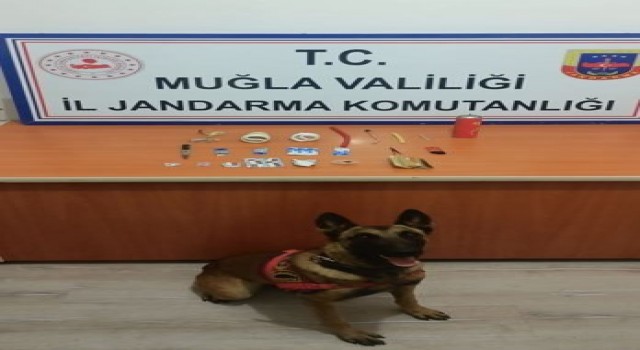 Jandarmanın detektör köpeği uyuşturucuya geçit vermedi