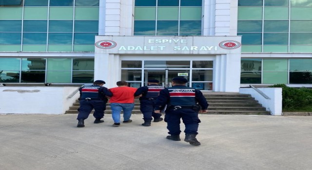 Kaçak uyuşturucu tacirini jandarma yakaladı