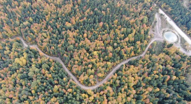 Karabükteki Türkiyenin en büyük blok ormanlarında sonbahar renkleri hakim oluyor