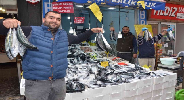 Karadenizde palamut bereketi: 3 tanesi 100 TL