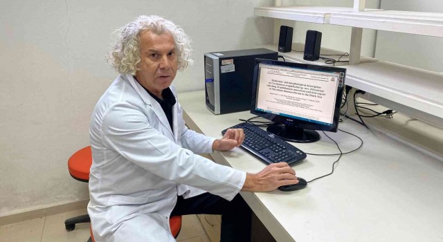Karadenizde yetişen kalkan balığında iki yeni parazit keşfedildi