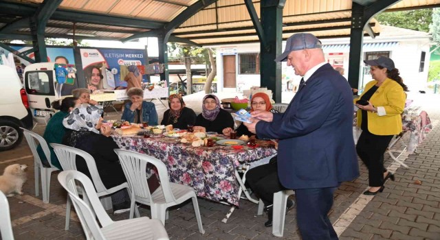 Kareside Mavi konteyır dönemi