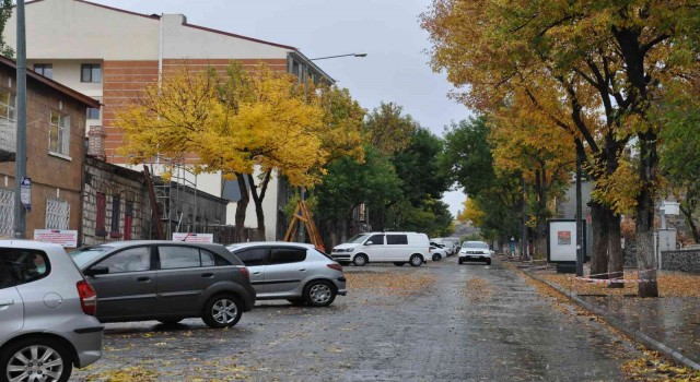 Karsta sonbaharda renk cümbüşü yaşanıyor