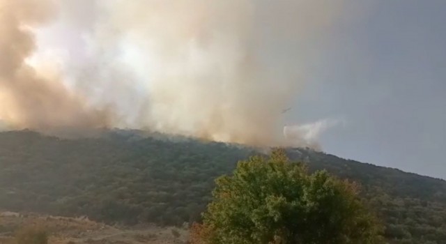 Kaşta orman yangınına havadan ve karadan müdahale sürüyor