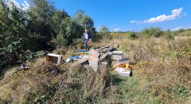 Kastamonuda ayılar arı kovanlarını parçaladı