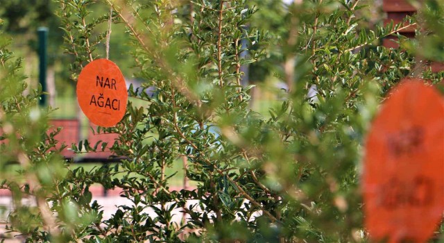 Kayapınarlı çocuklara ekolojik ve atıksız yaşamın örnekleri anlatılıyor