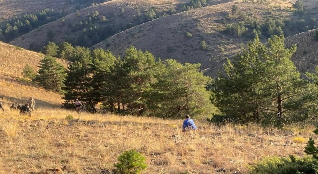 Kayıp olarak aranan şahsın cesedi ormanlık alanda bulundu