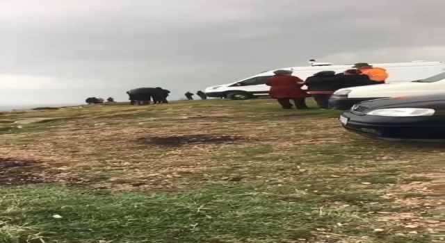 Kocaelide tekne alabora oldu, kayıp 1 kişi aranıyor
