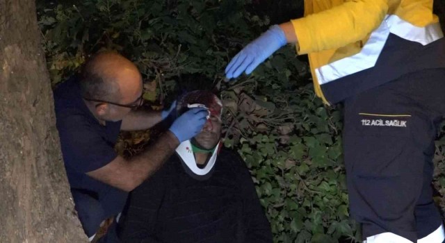 Kontrolden çıkan araç ağaca çarptı, kapıdan savrulan sürücü başından yaralandı