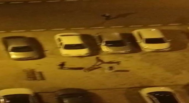 Köpeği çocukların üstüne saldı, korkan çocuk otomobilin üstüne çıktı