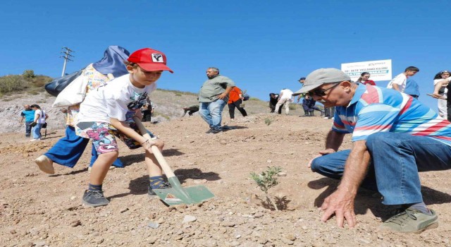 Körfezin çınarları gelecek için fidan dikti