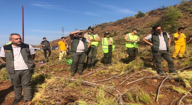 Köyceğiz ve Dalaman Orman İşletmelerinin silvikültür tatbikatı yapıldı