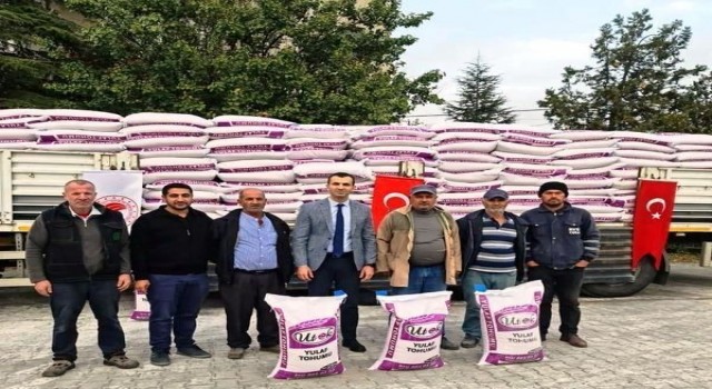 Kuluda çiftçilere sertifikalı ve yerli yulaf tohumu dağıtıldı