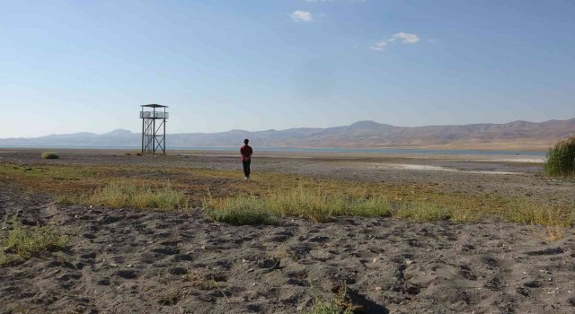 Kuş cenneti Erçek Gölünde korkutan su kaybı