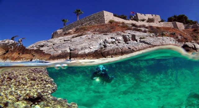 Kuşadası Belediyesi Deniz Canlıları Tanıtım Merkezi kuruyor