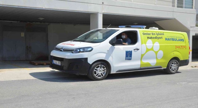 Kuşadasında can dostlar Haybulanslara emanet