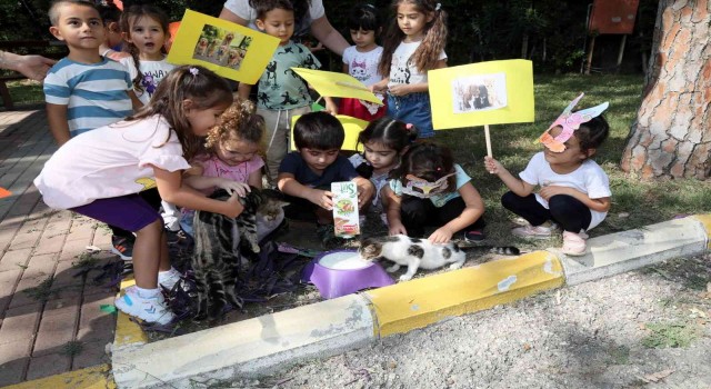 Manavgat Belediyesinin kreş öğrencileri sokak hayvanlarını besledi