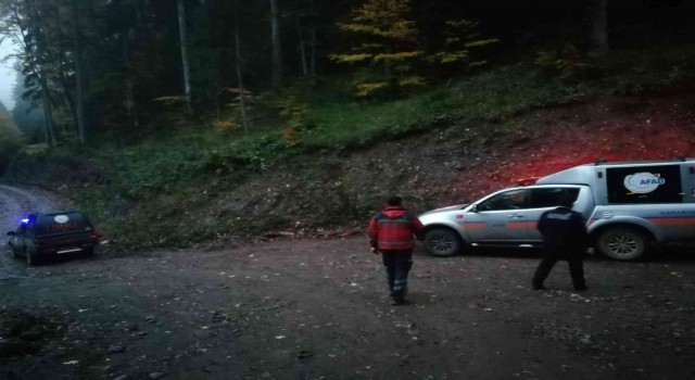 Mantar aramak için girdikleri ormanda kayboldular