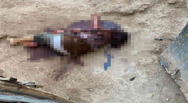 Mardinde bir evde kadın cesedi bulundu
