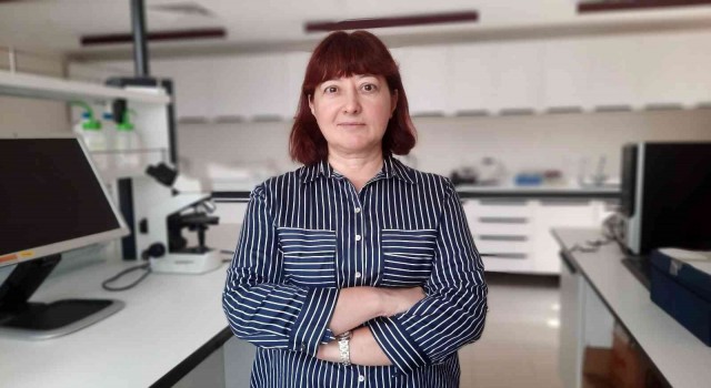 Marmara Denizi için tehlike çanları çalıyor: İstilacı türler kapıda