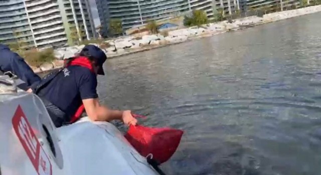 Marmara Denizinde yasadışı avcılık yapanlar suçüstü yakalandı