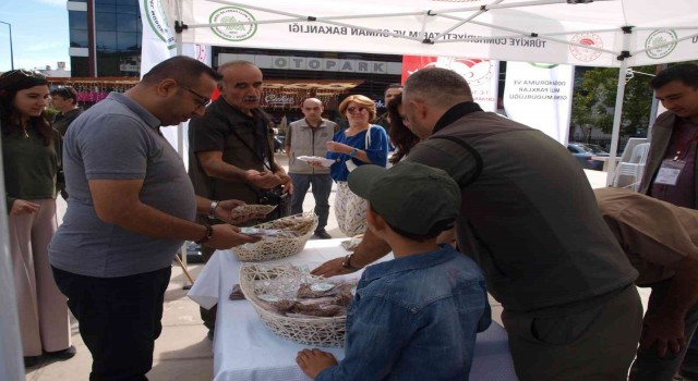 Menteşede kedi ve köpeklere mama dağıtıldı