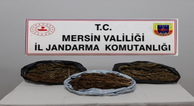 Mersinde 10 kilo 248 gram skunk ele geçirildi