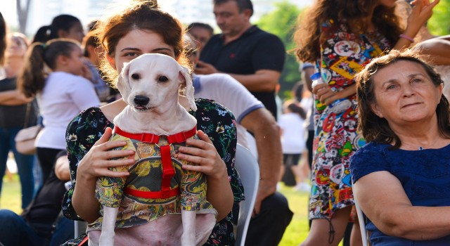 Mersinde PatiFeste hazırlanılıyor