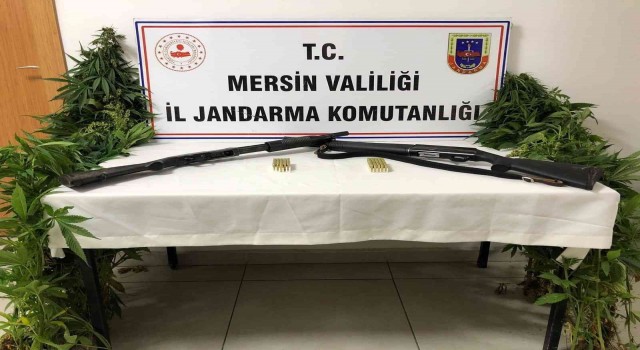 Mersinde uyuşturucu operasyonu: 2 gözaltı