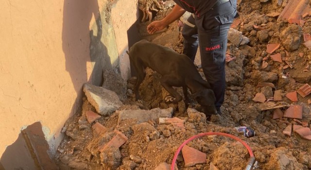 Metruk binada mahsur kalan köpeği itfaiye kurtardı