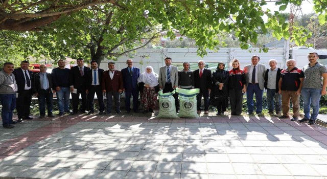 Mihalgazi ve Sarıkaya arazileri de yerli ve milli buğday çeşidi ‘Reise kavuştu