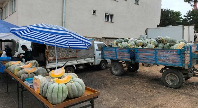 Mihalıççıkta 30 kiloluk dev balkabaklarına ilgi yoğun