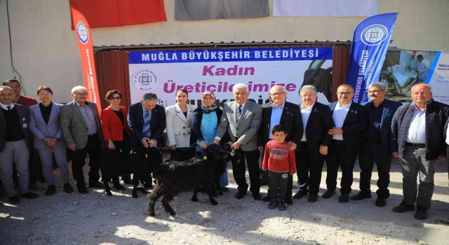 Muğla Büyükşehir Belediyesinden Yatağana Kıl Keçisi desteği