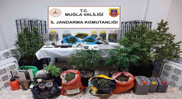 Muğlada uyuşturucu operasyonu
