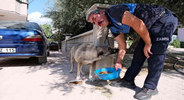 Mutta sokak hayvanlarına mama dağıtıldı