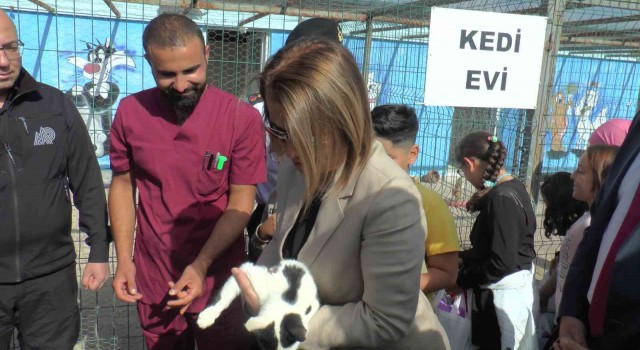 Nevşehir Valisi ilk defa kediye dokundu