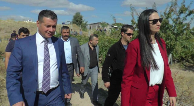 Nevşehirde badem hasadı yapıldı